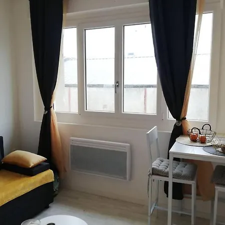 Studio Lumineux Plein De Charme Apartment *